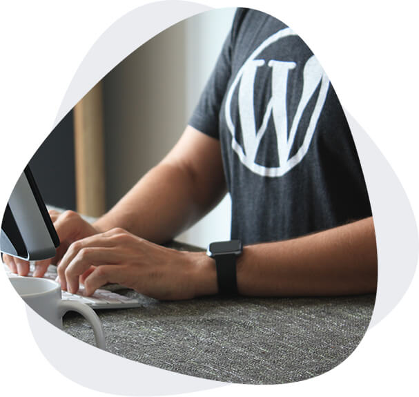 img wordpress developer